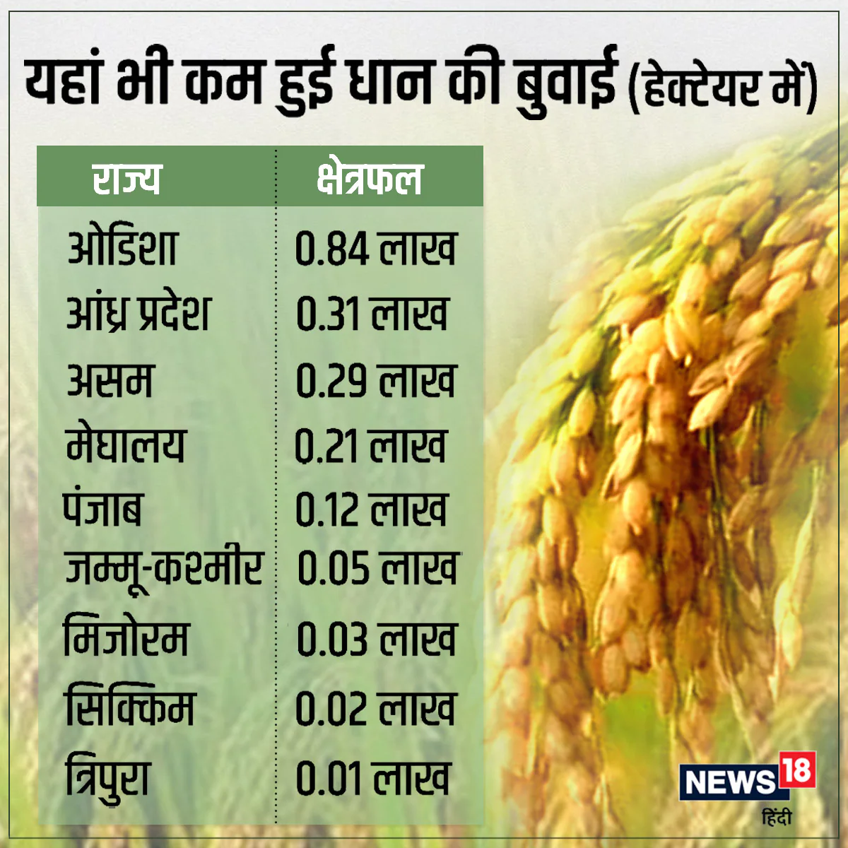 Crop Weather Watch report, india agriculture report, imd data, news 18 data story, धान का रकबा, देश में कहां-कहां होती है धान की बुवाई, मानसून सीजन, मानसून की कमी का असर, मौसम विभाग की रिपोर्ट, दलहन फसल, तिलहन फसल का रकबा, खरीफ सीजन, धान की बुवाई, बारिश की कमी का खेती पर असर, क्रॉप वेदर वॉच रिपोर्ट, kheti-kisani, agro data story, monsoon report, draught and flood,