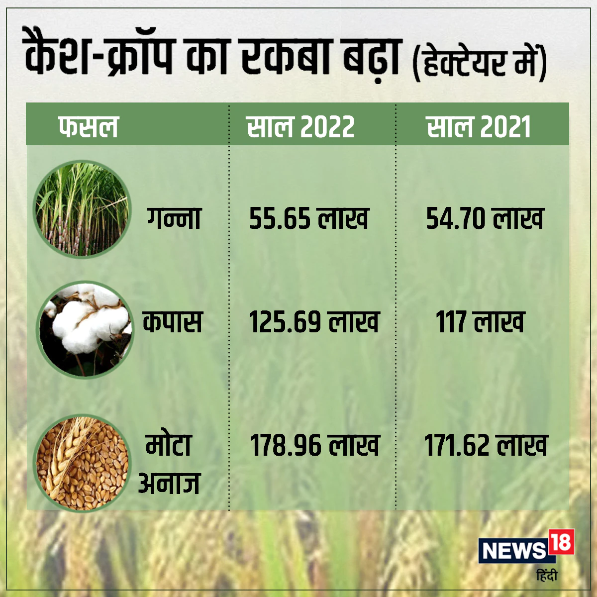 Crop Weather Watch report, india agriculture report, imd data, news 18 data story, धान का रकबा, देश में कहां-कहां होती है धान की बुवाई, मानसून सीजन, मानसून की कमी का असर, मौसम विभाग की रिपोर्ट, दलहन फसल, तिलहन फसल का रकबा, खरीफ सीजन, धान की बुवाई, बारिश की कमी का खेती पर असर, क्रॉप वेदर वॉच रिपोर्ट, kheti-kisani, agro data story, monsoon report, draught and flood,