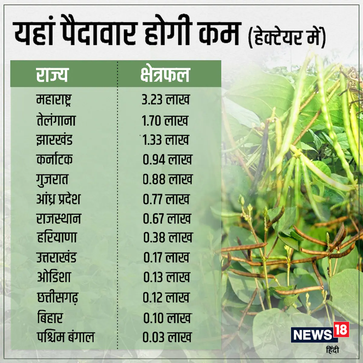 Crop Weather Watch report, india agriculture report, imd data, news 18 data story, धान का रकबा, देश में कहां-कहां होती है धान की बुवाई, मानसून सीजन, मानसून की कमी का असर, मौसम विभाग की रिपोर्ट, दलहन फसल, तिलहन फसल का रकबा, खरीफ सीजन, धान की बुवाई, बारिश की कमी का खेती पर असर, क्रॉप वेदर वॉच रिपोर्ट, kheti-kisani, agro data story, monsoon report, draught and flood,