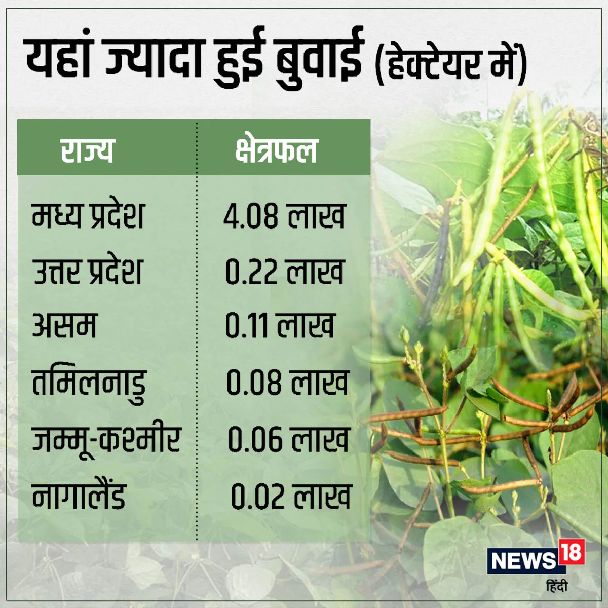 Crop Weather Watch report, india agriculture report, imd data, news 18 data story, धान का रकबा, देश में कहां-कहां होती है धान की बुवाई, मानसून सीजन, मानसून की कमी का असर, मौसम विभाग की रिपोर्ट, दलहन फसल, तिलहन फसल का रकबा, खरीफ सीजन, धान की बुवाई, बारिश की कमी का खेती पर असर, क्रॉप वेदर वॉच रिपोर्ट, kheti-kisani, agro data story, monsoon report, draught and flood,