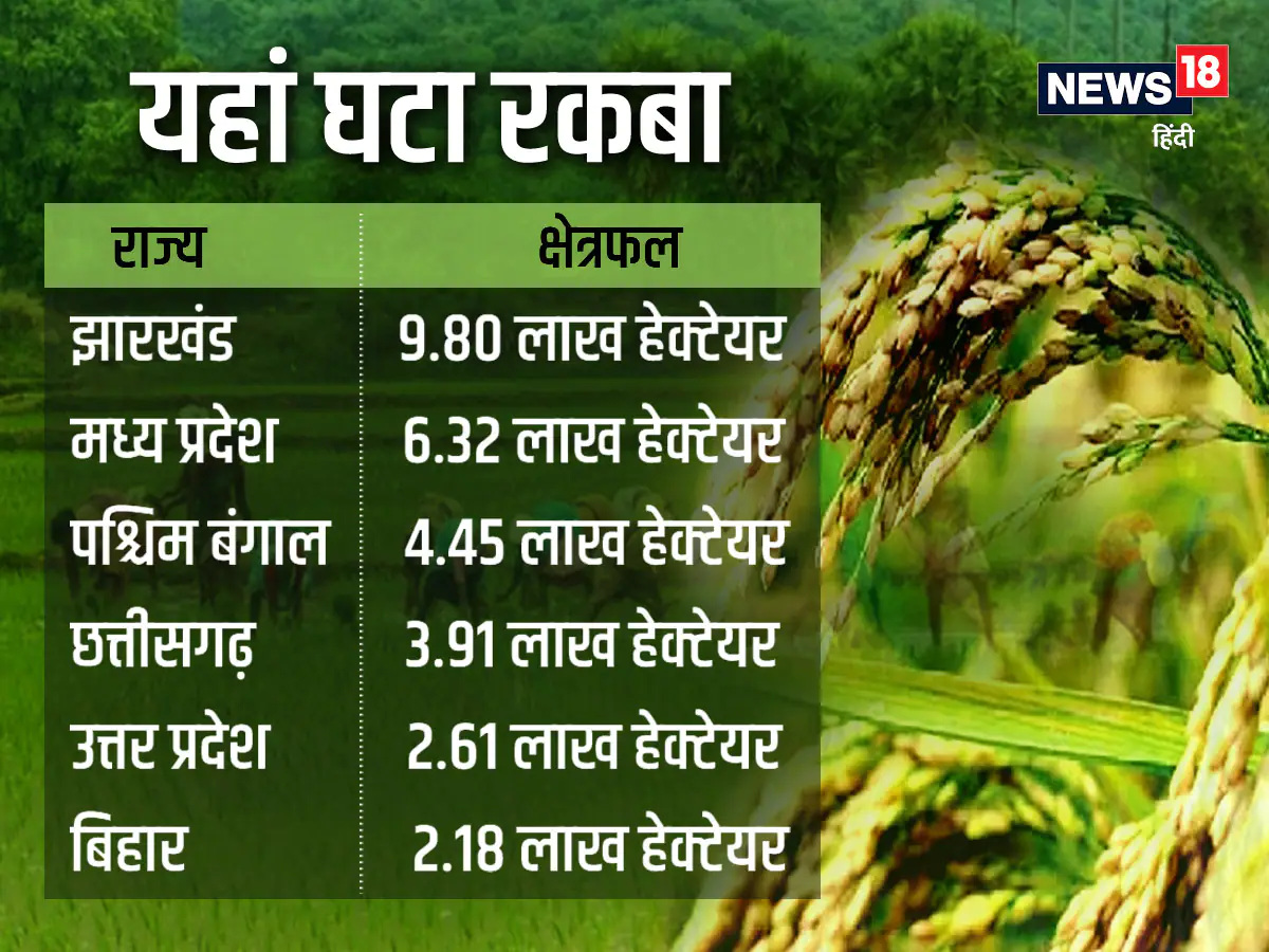 Crop Weather Watch report, india agriculture report, imd data, news 18 data story, धान का रकबा, देश में कहां-कहां होती है धान की बुवाई, मानसून सीजन, मानसून की कमी का असर, मौसम विभाग की रिपोर्ट, दलहन फसल, तिलहन फसल का रकबा, खरीफ सीजन, धान की बुवाई, बारिश की कमी का खेती पर असर, क्रॉप वेदर वॉच रिपोर्ट, kheti-kisani, agro data story, monsoon report, draught and flood,